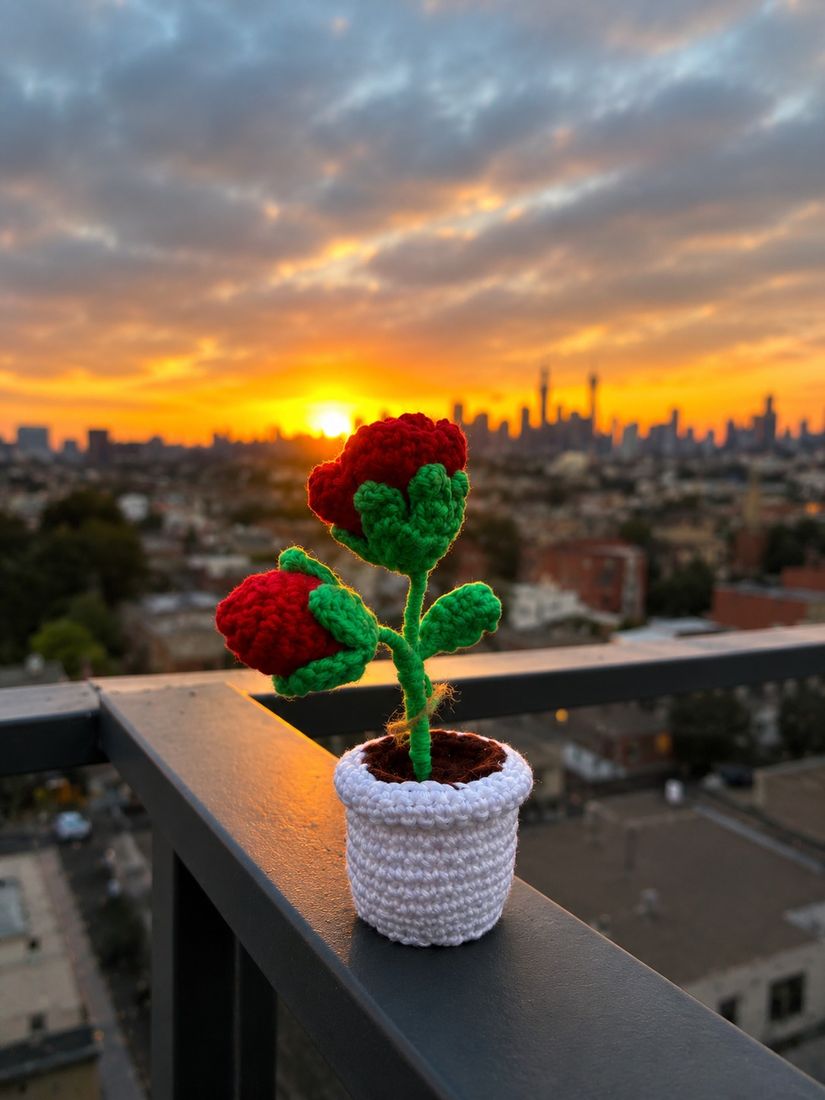 Crochet rose in a pot